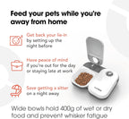 C200 Automatic Pet Feeder with Digital Timer & Ice Pack – up to 2 Wet or Dry Food Meals, No Apps or Wifi, Portion Control, Reliable Feeding for Cats & Small Dogs