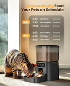 Automatic Cat Feeder with Stainless Steel Bowl, 3.5L Cat Feeder with Timer ,Pet Food Dispenser for 1-6 Meals a Day, Dry Food Auto Feeders for Cats Dogs