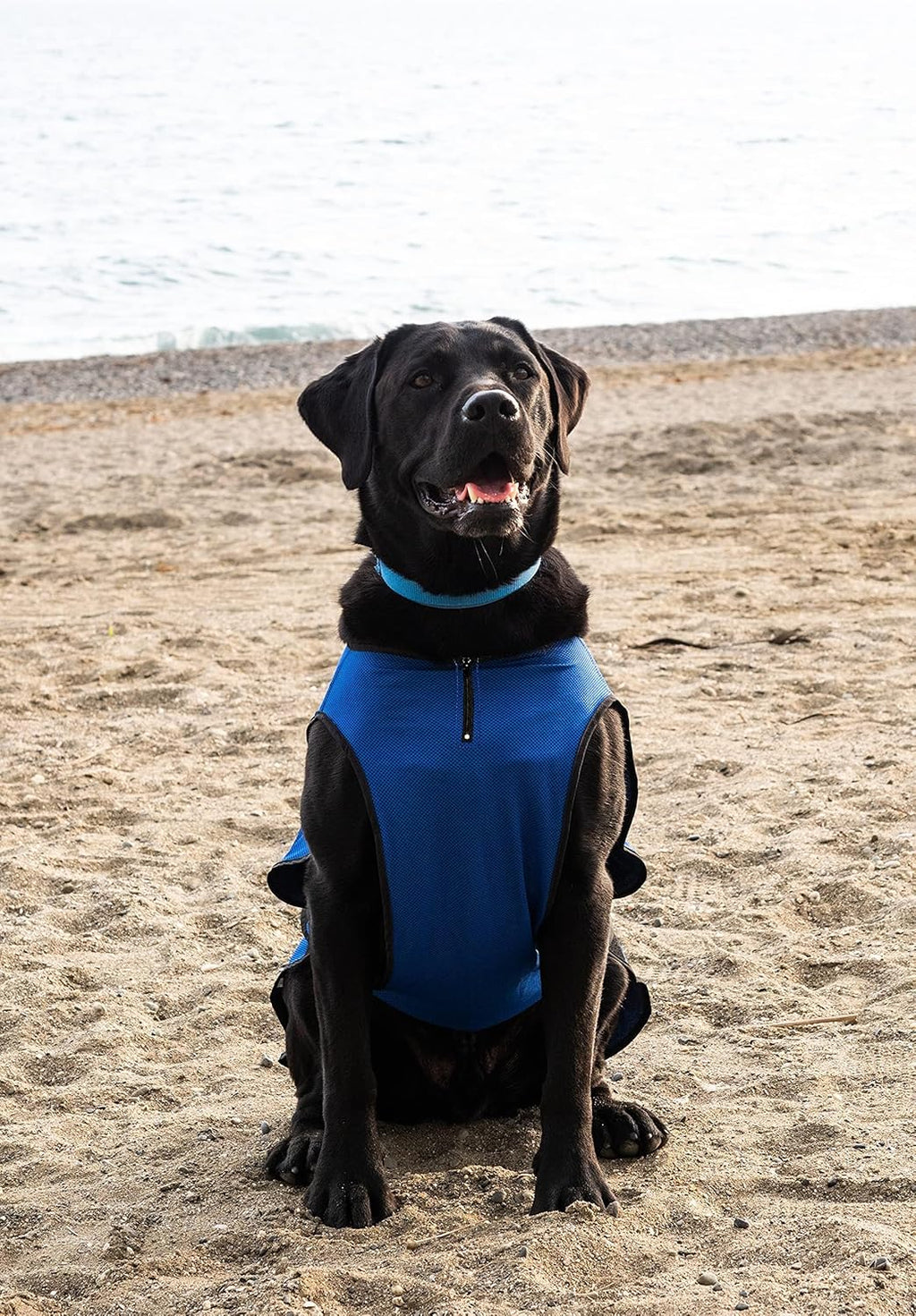 XXL Dog Cooling Vest - Easy On/Off Cooling Coat with Double Velcro & Zip Neck, Lightweight & Portable Cooling Jacket for Dogs, Perfect for Dog Owners, Walkers, Sitters & Pet Carers
