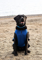 XXL Dog Cooling Vest - Easy On/Off Cooling Coat with Double Velcro & Zip Neck, Lightweight & Portable Cooling Jacket for Dogs, Perfect for Dog Owners, Walkers, Sitters & Pet Carers