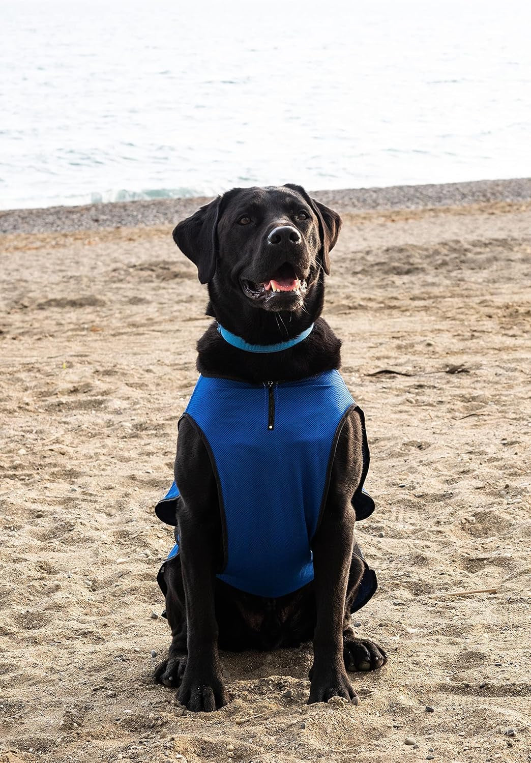 XXL Dog Cooling Vest - Easy On/Off Cooling Coat with Double Velcro & Zip Neck, Lightweight & Portable Cooling Jacket for Dogs, Perfect for Dog Owners, Walkers, Sitters & Pet Carers