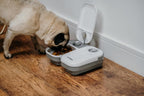 C200 Automatic Pet Feeder with Digital Timer & Ice Pack – up to 2 Wet or Dry Food Meals, No Apps or Wifi, Portion Control, Reliable Feeding for Cats & Small Dogs