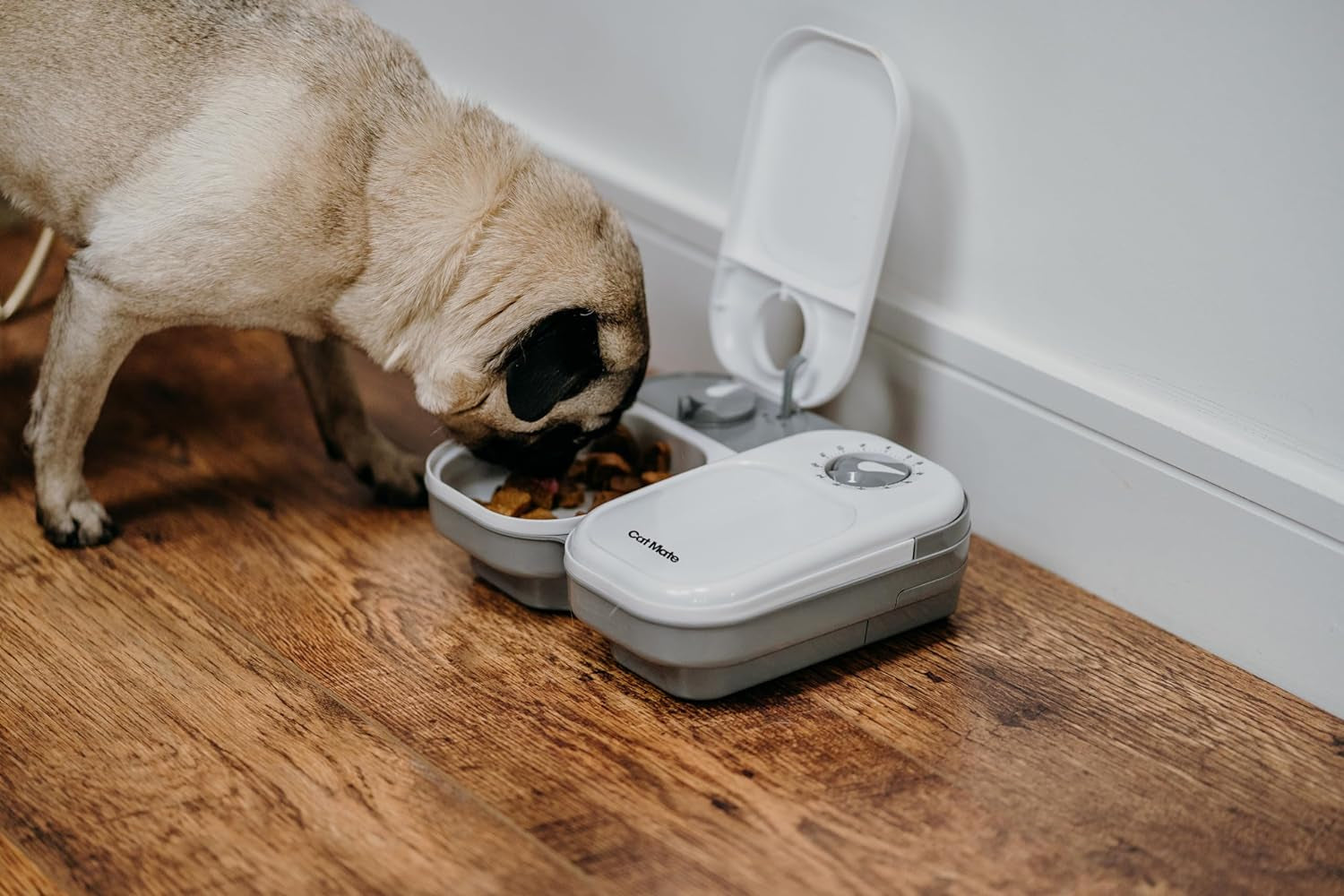 C200 Automatic Pet Feeder with Digital Timer & Ice Pack – up to 2 Wet or Dry Food Meals, No Apps or Wifi, Portion Control, Reliable Feeding for Cats & Small Dogs