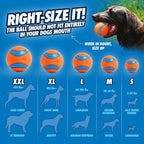Ultra Ball, Durable High Bounce Rubber Dog Ball, Launcher Compatible, 2 Pack, Medium