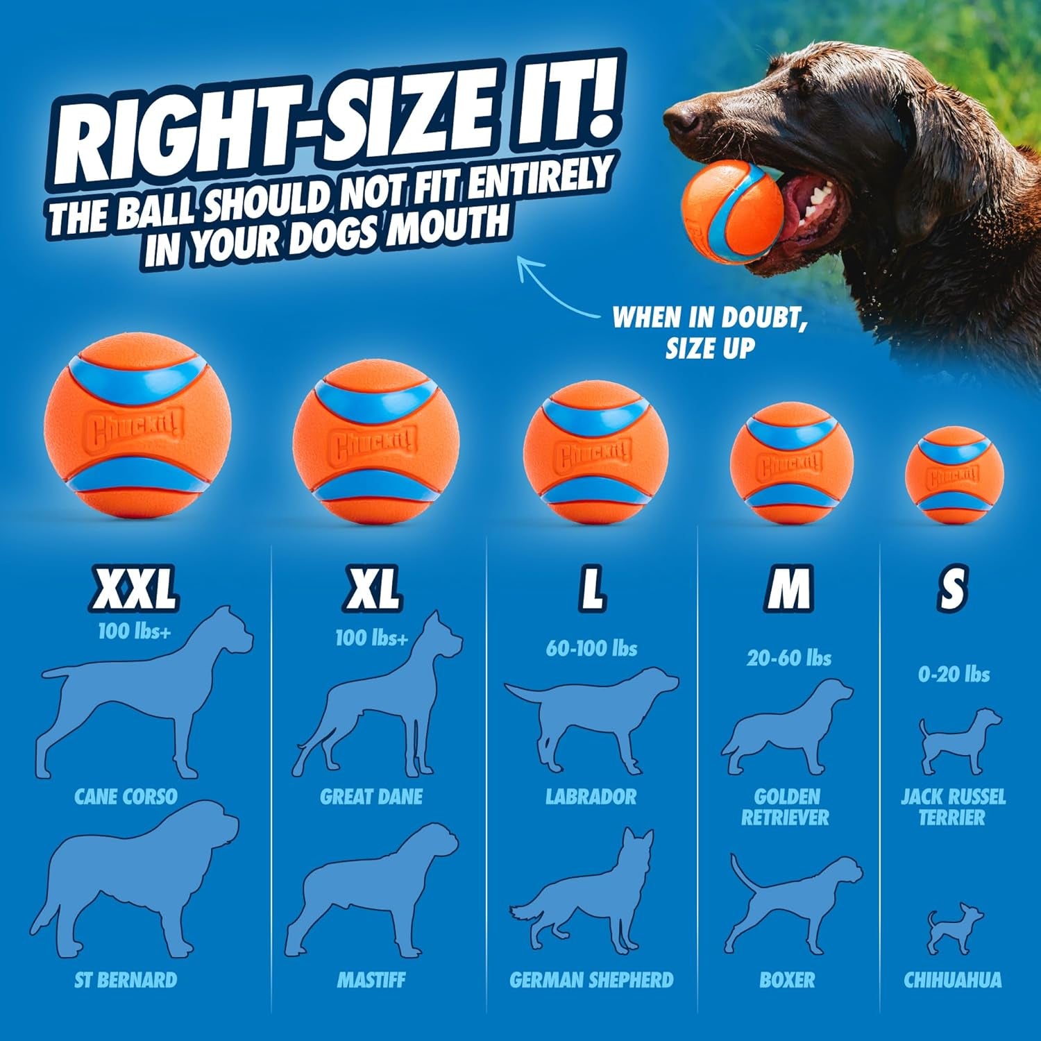 Ultra Ball, Durable High Bounce Rubber Dog Ball, Launcher Compatible, 2 Pack, Medium