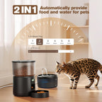 Automatic Cat Feeder and Water Fountain: Cat Food Dispenser with Timer and Pet Drinking Fountain Indoor, 3L Pet Feeder for Dry Food &2.4L Faucet Water Fountain Black, Auto Dog Bowl Programmable 6 Meal