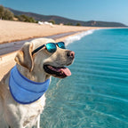 Dog Cooling Bandana - 2 Pack Instant Chill Out Adjustable Pet Scarf, Summer Outdoor Ice Collar Cooler, Prevent Sunstroke for Small Medium Large Breeds (Navy Green, L)