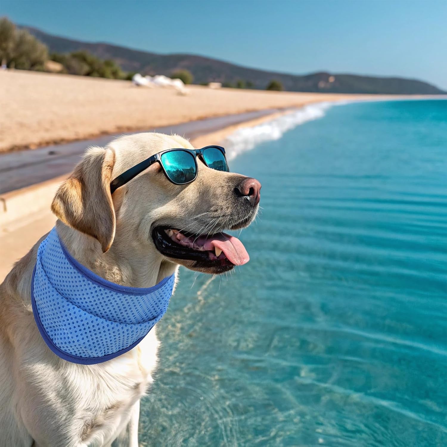 Dog Cooling Bandana - 2 Pack Instant Chill Out Adjustable Pet Scarf, Summer Outdoor Ice Collar Cooler, Prevent Sunstroke for Small Medium Large Breeds (Navy Green, L)