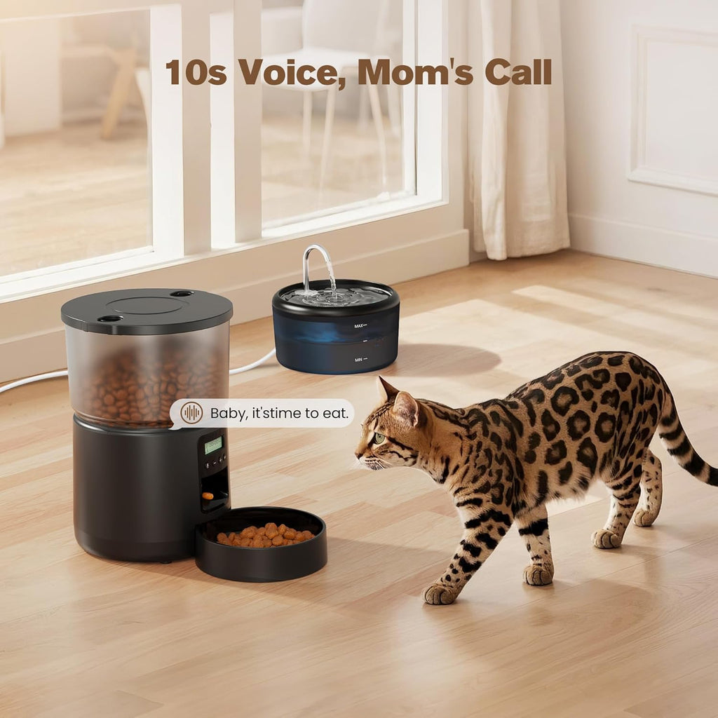 Automatic Cat Feeder and Water Fountain: Cat Food Dispenser with Timer and Pet Drinking Fountain Indoor, 3L Pet Feeder for Dry Food &2.4L Faucet Water Fountain Black, Auto Dog Bowl Programmable 6 Meal