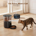 Automatic Cat Feeder and Water Fountain: Cat Food Dispenser with Timer and Pet Drinking Fountain Indoor, 3L Pet Feeder for Dry Food &2.4L Faucet Water Fountain Black, Auto Dog Bowl Programmable 6 Meal