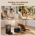 Automatic Cat Feeder and Water Fountain: Cat Food Dispenser with Timer and Pet Drinking Fountain Indoor, 3L Pet Feeder for Dry Food &2.4L Faucet Water Fountain Black, Auto Dog Bowl Programmable 6 Meal