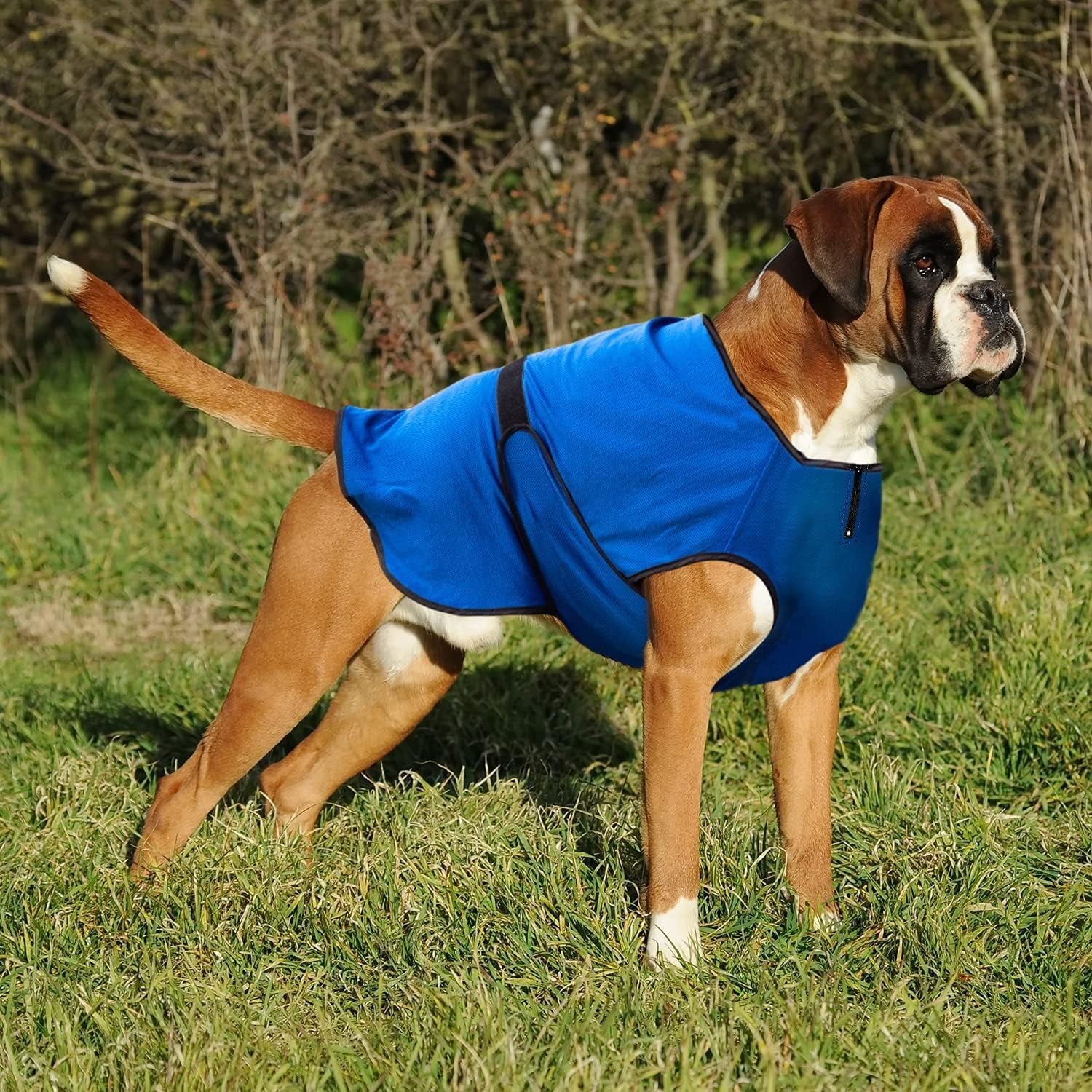 XXL Dog Cooling Vest - Easy On/Off Cooling Coat with Double Velcro & Zip Neck, Lightweight & Portable Cooling Jacket for Dogs, Perfect for Dog Owners, Walkers, Sitters & Pet Carers